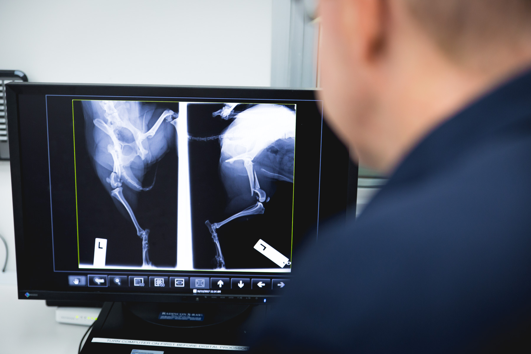 Digital Radiography | Brunker Road Veterinary Centre